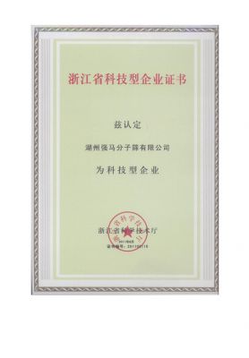 Technology Enterprise Certificate